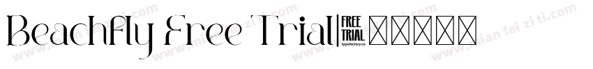 Beachfly Free Trial字体转换